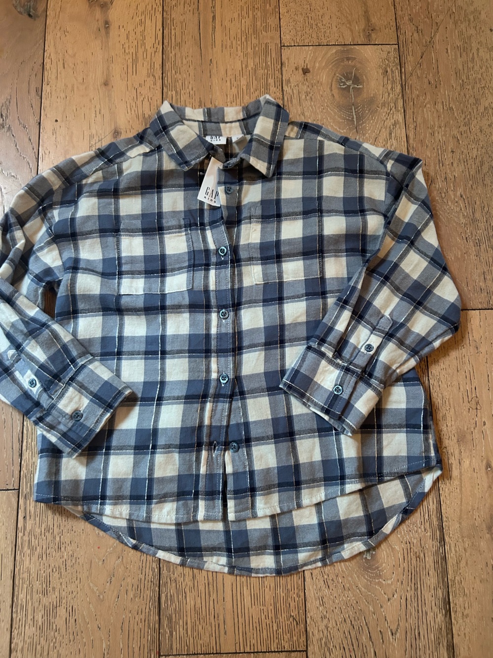 GAP Blue and White Plaid Button-Down Shirt